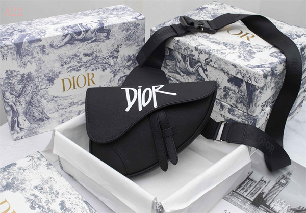 Dior Bags AAA 017